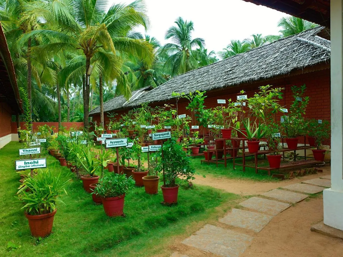 The Nattika Beach Resort Thrissur 5*,